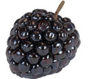 Alzaeem - Frozen Blackberry 500gm