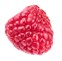 Alzaeem - Frozen Raspberry 500gm